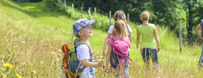 Actividades en Boadilla del Monte