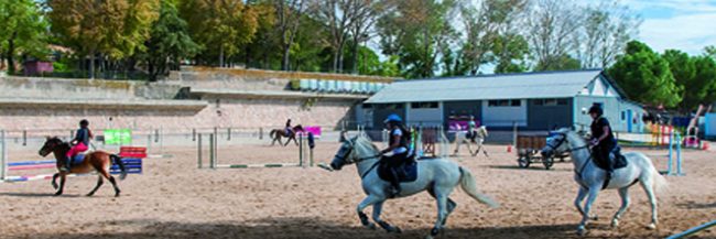 Campamento de Hípica